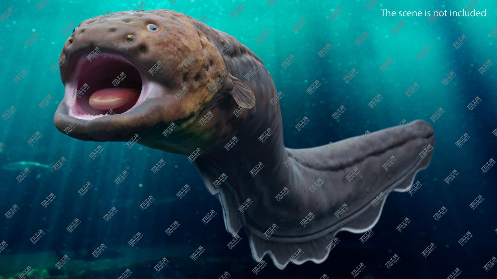 images/goods_img/2021040164/3D Electric Eel Rigged/2.jpg